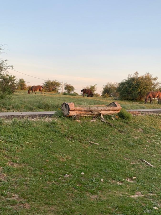 Cabanas Buenache Buenache de la Sierra Bagian luar foto